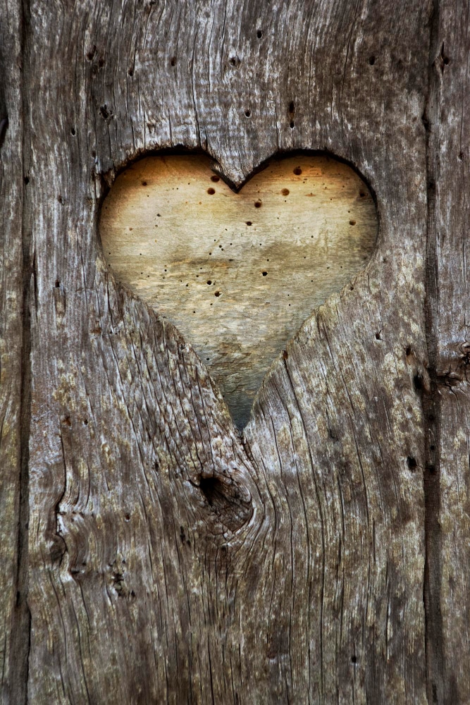 In Holz geschnitztes Herz als Symbol für die Erinnerung bei einer Baumbestattung